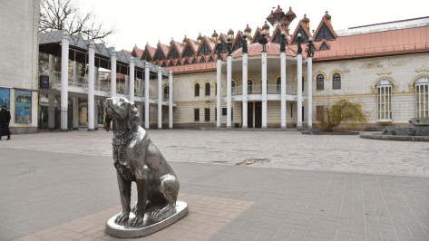 Мэрия опубликовала эскизы художественной подсветки зданий в центре Воронежа