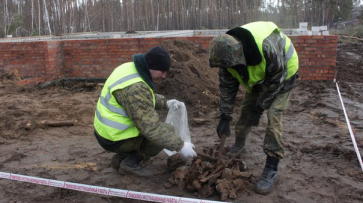 В воронежском микрорайоне Подгорное нашли останки 2 красноармейцев