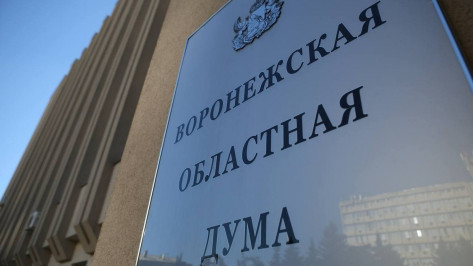 Воронежская облдума рассмотрит законопроект о новых выплатах для детей с генетическим заболеванием