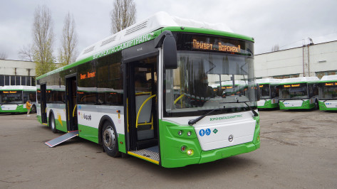 В Воронежской области на закупку новых автобусов выделят более 545,4 млн рублей