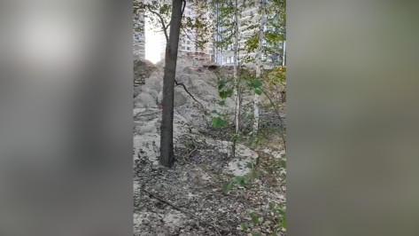 Лес возле 17-этажки в Воронеже превратили в бетонную гору