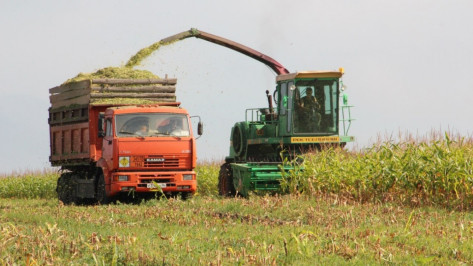 Воронежский губернатор призвал к инновациям в сельском хозяйстве