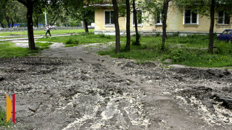 Воронежских водителей продолжают активно штрафовать за парковку на газонах