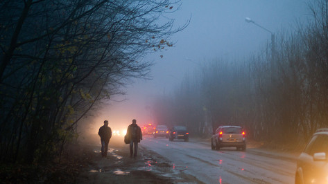 Туман и гололедица увеличивают аварийность на дорогах Воронежской области