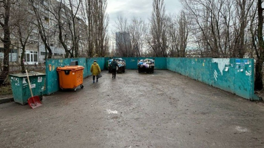 Свалку на улице 25 Января ликвидировали после обращения воронежцев