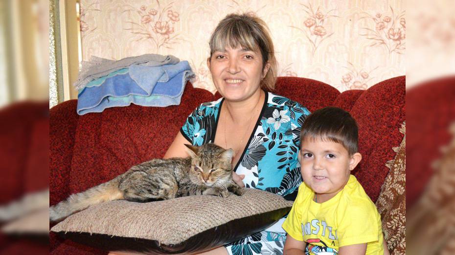 Жительница Лисок спасла котенка от издевательств 11-летних школьников
