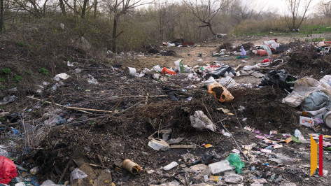 В Воронежской области обнаружили несанкционированную свалку площадью 700 кв м