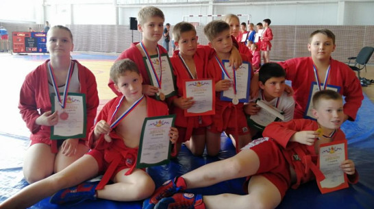Таловские самбисты выиграли 8 золотых медалей на областном турнире