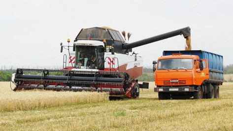 Воронежским аграриям компенсируют затраты на технику и оборудование местного производства