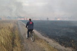 В 2021 году количество пожаров в Воронежской области снизилось на 30%