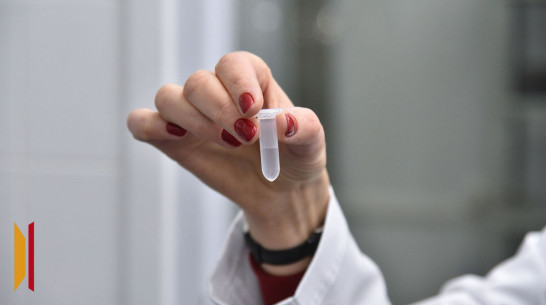 Воронежцам рассказали о новом коронавирусе HKU5