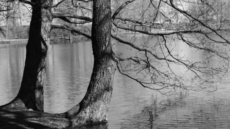 На турбазе под Воронежем пропал 20-летний парень