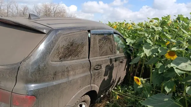 Водитель SsangYong погиб в поле подсолнухов в Воронежской области