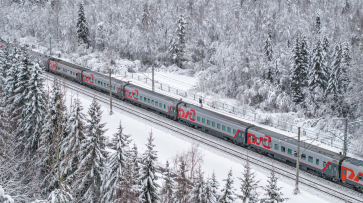 Из Москвы в Воронеж на Новый год пустят дополнительные поезда