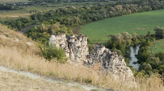 Воронежский музей-заповедник «Дивногорье» запустил конкурс годных мемов