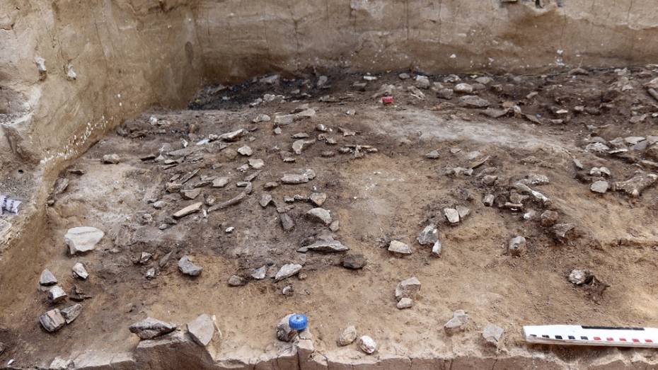 Древнейшее в Восточной Европе поселение современного человека нашли в воронежских Костенках