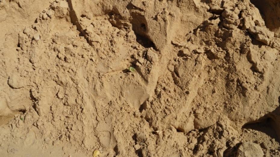 В Воронежской области пресекли незаконную добычу песка