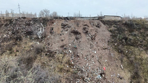 Под Воронежем на территории памятника природы обнаружили крупную свалку