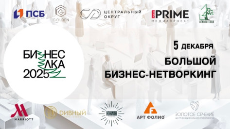 Воронежских предпринимателей пригласили принять участие в конференции «БИЗНЕС-ЕЛКА – 2025»