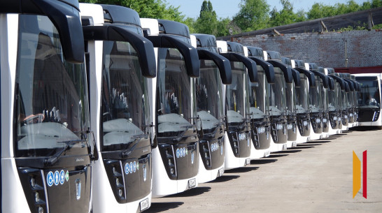 В 2025 году из Воронежа запустят новые маршруты в Запорожскую область и ДНР