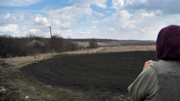 Суд обязал живущую в Одессе гражданку Украины продать участок земли в Воронежской области