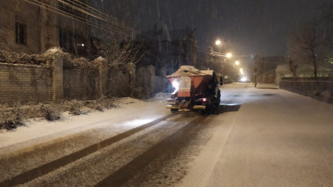 Гидрометцентр: выпавший за ночь в Воронеже снег растает к вечеру