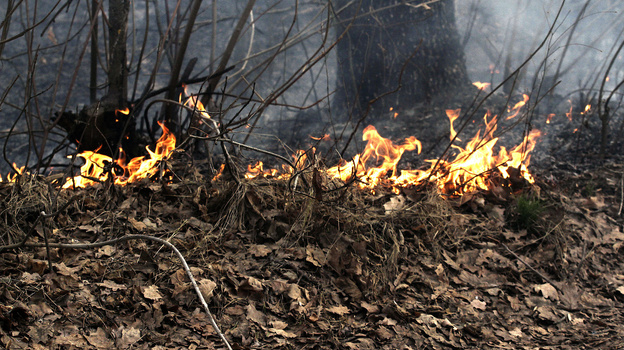 На окраине Воронежа загорелась сухая трава