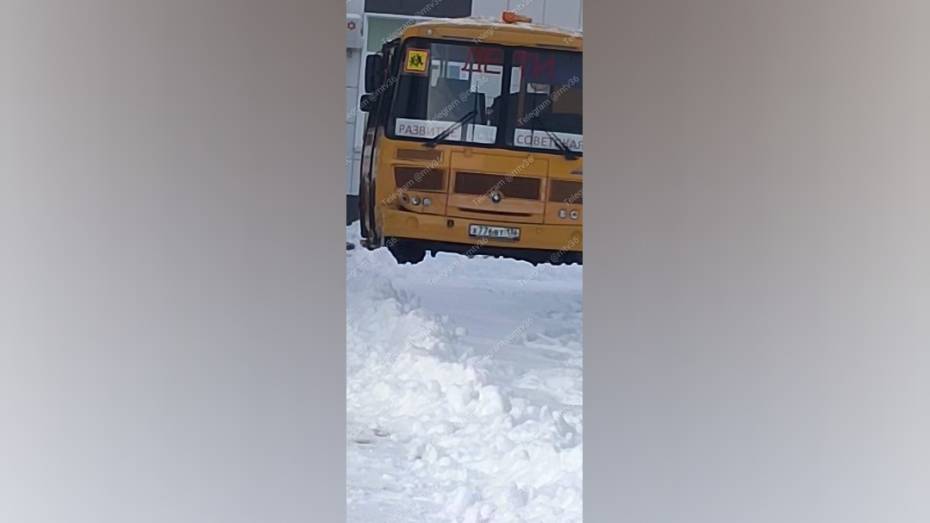 Под Воронежем школьный автобус столкнулся с легковушкой