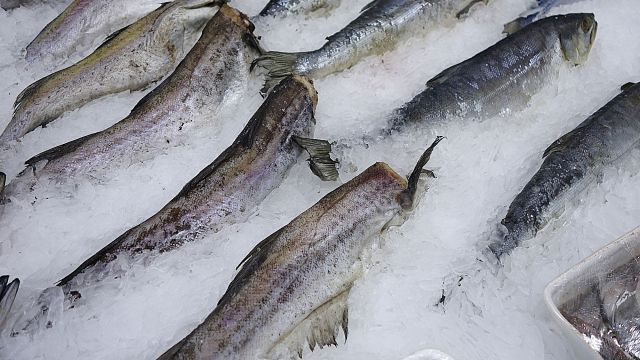 Воронежское УФАС раскрыло сговор трех фирм при поставке продуктов в социальные учреждения