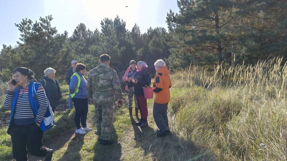 В Воронежской области ушедшая за грибами пенсионерка всю ночь провела в лесу
