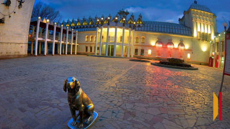 В Воронеже сделают дополнительную подсветку памятнику Белому Биму