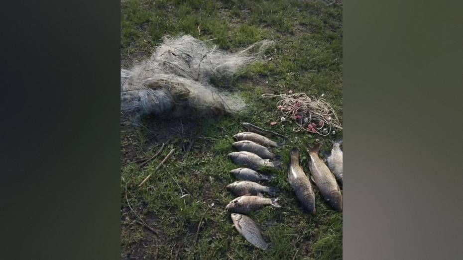 Воронежские полицейские задержали браконьера, наловившего рыбы на 23 тыс рублей