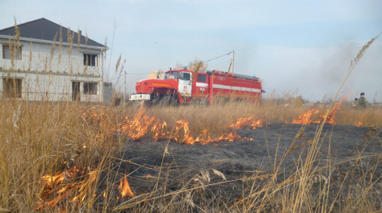 В Рамонском районе произошло 3 ландшафтных пожара за сутки