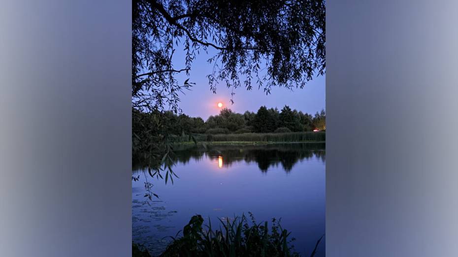 Воронежцы поделились эффектными фото «Осетровой Луны»