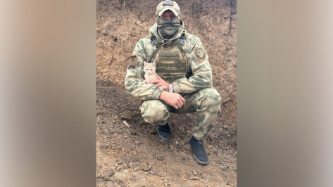 Машка на передовой. Воронежец рассказал, как животные помогают нашим солдатам в зоне СВО