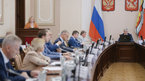 В правительстве Воронежской области обсудили развитие системы ухода за пожилыми людьми