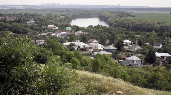 Соцконтракт и агростартап. Как в Воронежской области поддерживают сельчан