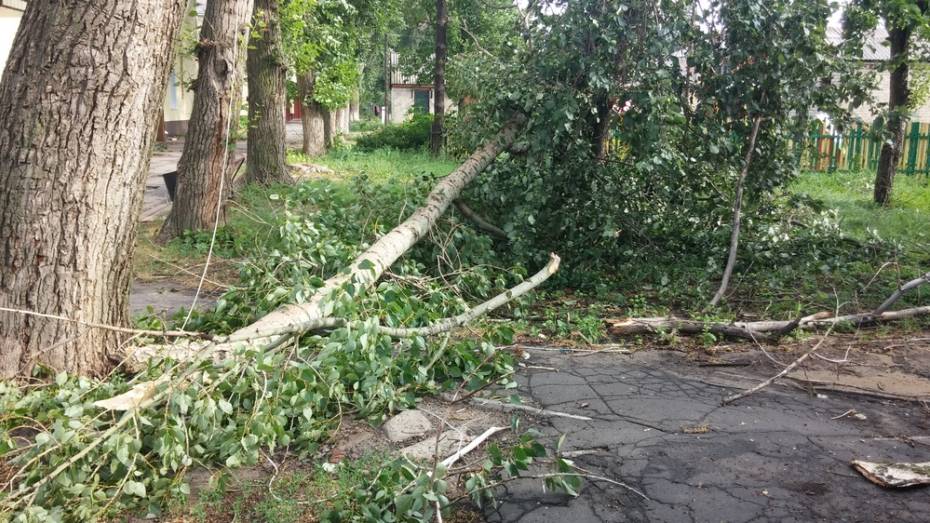 В Поворинском районе ветер и ливень повредили крыши и линии электропередач
