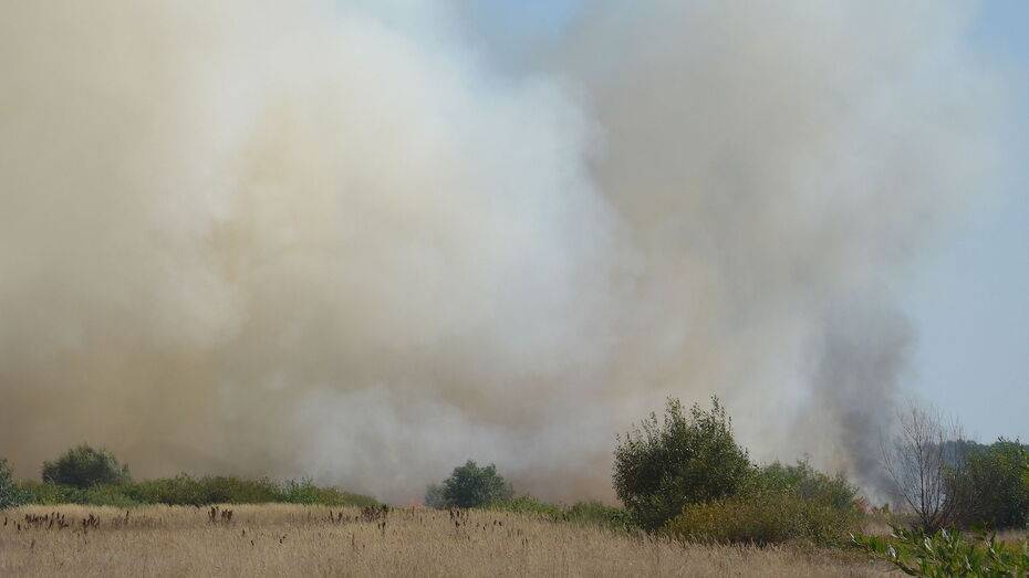 Лесной пожар охватил 30 га заповедника на границе с Воронежской областью
