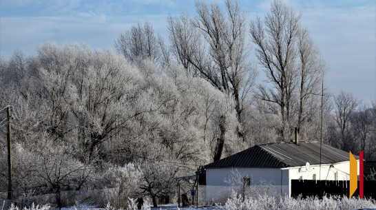 В Воронежской области продлили оранжевый уровень погодной опасности из-за аномальных холодов