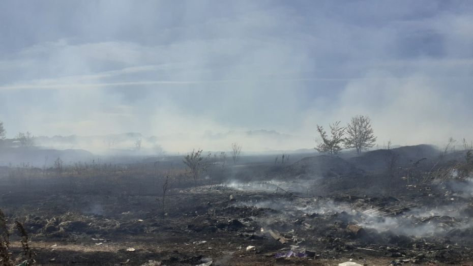 В Грибановском районе выгорело 2 га сухой травы