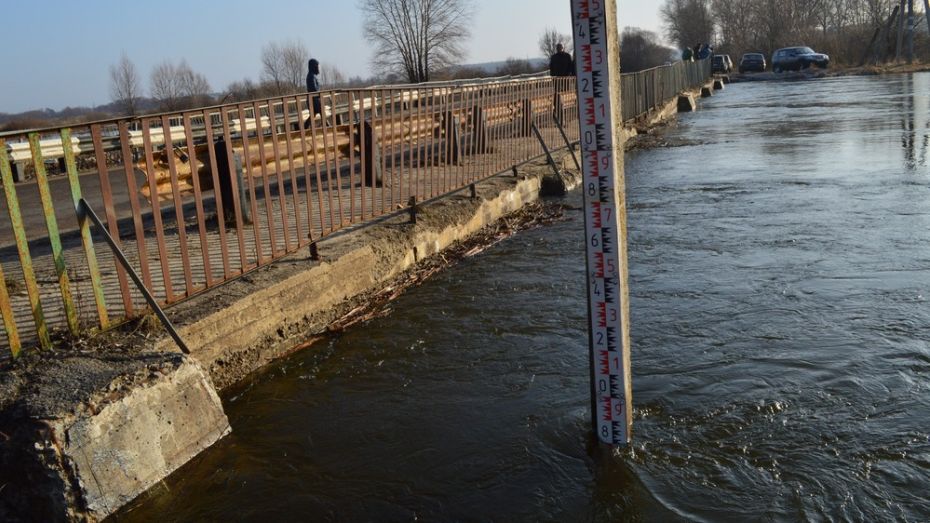 Под Рамонью уровень воды в реке Воронеж поднялся на 2,8 м