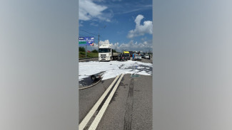 Два человека погибли в массовом ДТП на улице Антонова-Овсеенко в Воронеже