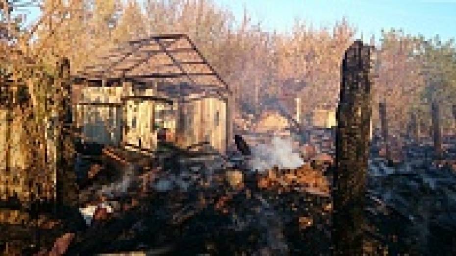 В павловском селе из-за сжигания мусора сгорели постройки на трех дворах