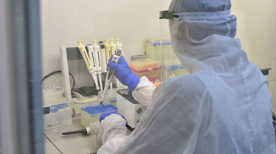 В Воронежской области выявили 89 новых случаев COVID-19