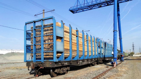 Воронежский контрабандист продал 200 кубометров древесины в Среднюю Азию