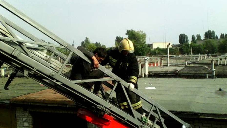 Спасатели сняли воронежца с 15-метрового тополя