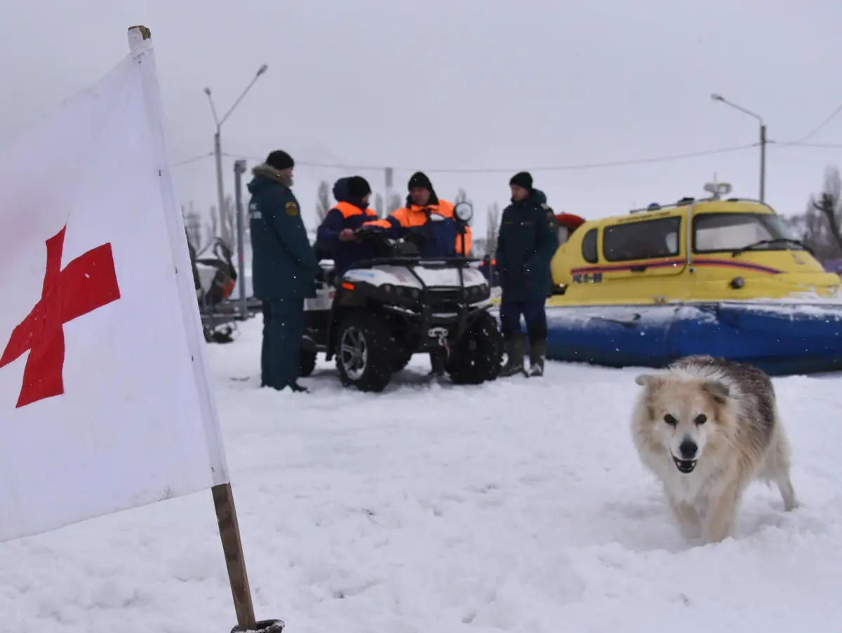 Инструкция РИА «Воронеж»: как спасти человека на льду водоема