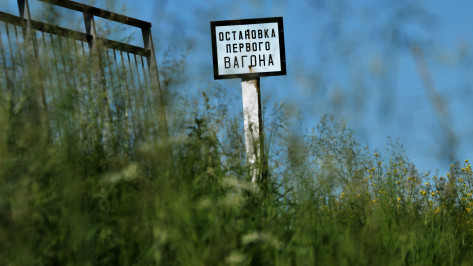 В 2021 году в Воронежской области на железной дороге погибли 19 человек