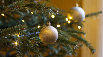 Пустят ли родителей на новогодние утренники в детские сады Воронежа